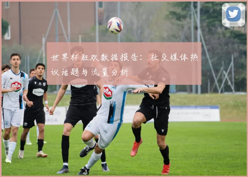 世界杯狂欢数据报告：社交媒体热议话题与流量分析