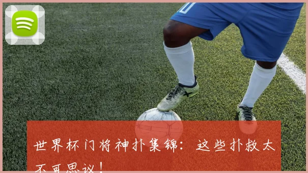 世界杯门将神扑集锦：这些扑救太不可思议！